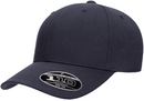 110C Curve Peak