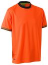 Hi Vis Polyester Mesh T-Shirt BK1220