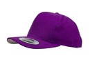 6689C Classic Snapback