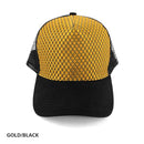 AH363 Aspect Cap