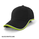 AH477 Michigan Cap