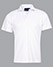 PS81K VERVE POLO Kids