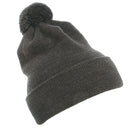 1501P POM POM BEANIE by FLEXFIT