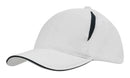 Brushed Heavy Cotton Cap with Crown Inserts & Sandwich