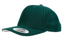 6689C Classic Snapback