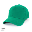 AH230 Heavy Brushed Cotton Cap