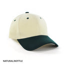 AH310 HBC two tone Cap
