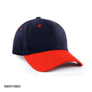 AH310 HBC two tone Cap