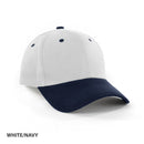 AH310 HBC two tone Cap