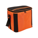 Large Cooler Bag OSFA / Aqua