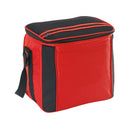 Large Cooler Bag OSFA / Aqua